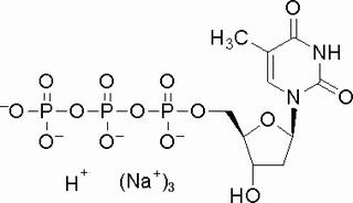 2′-脱氧胸苷-5′-三磷酸三钠盐