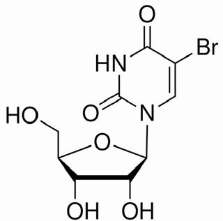 5-溴尿苷