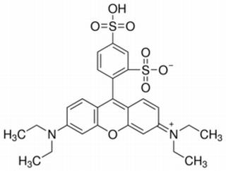 磺酰罗丹明B