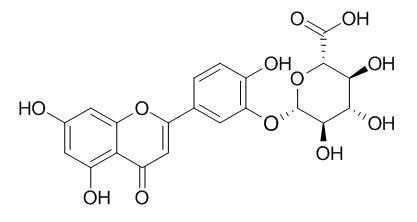 木犀草素-3'-葡萄糖醛酸苷