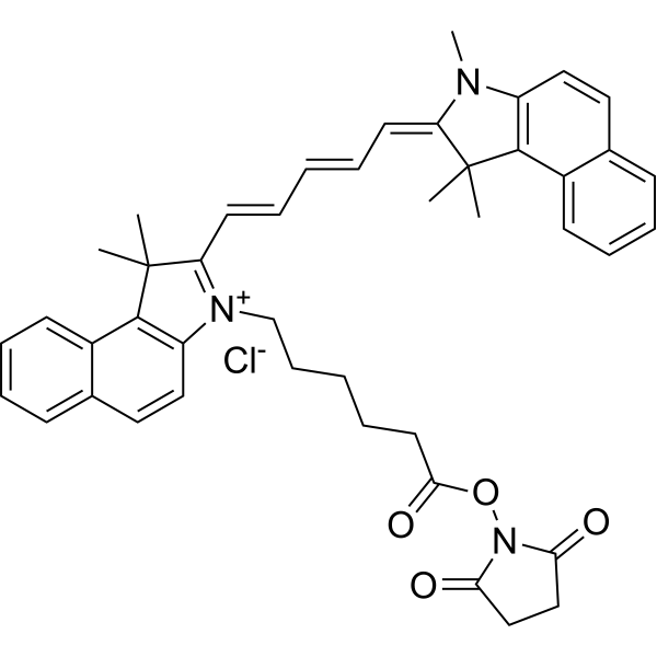 Cy5.5 N-羟基琥珀酰亚胺酯 Cy5.5 N-羟基琥珀酰亚胺酯