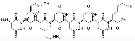 FLAG Peptide