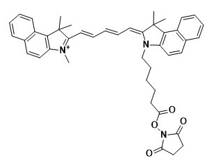 Cy5.5 NHS ester (non-sulfonated)