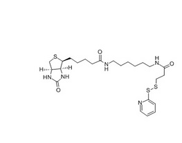 N-(6-[生物素胺]己基)-3’-(2’-吡啶二硫)丙酰胺