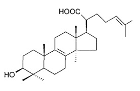 栓菌酸