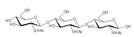 N-乙酰化的壳三糖