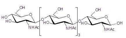 N-乙酰化的壳五糖