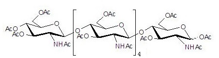 全乙酰化的壳六糖