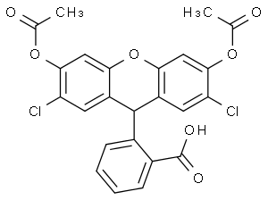 2',7'-二氯荧光素二乙酸酯