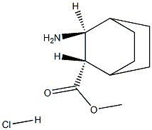 环己二烯