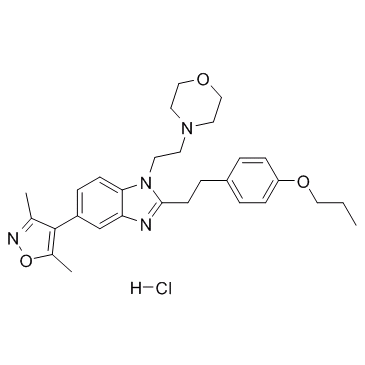 PF-CBP1 (hydrochloride)