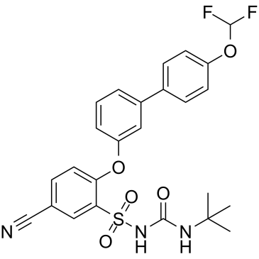 NTP-42