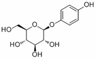 熊果苷（β型）