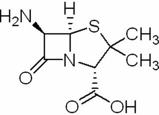 6-氨基青霉素酸