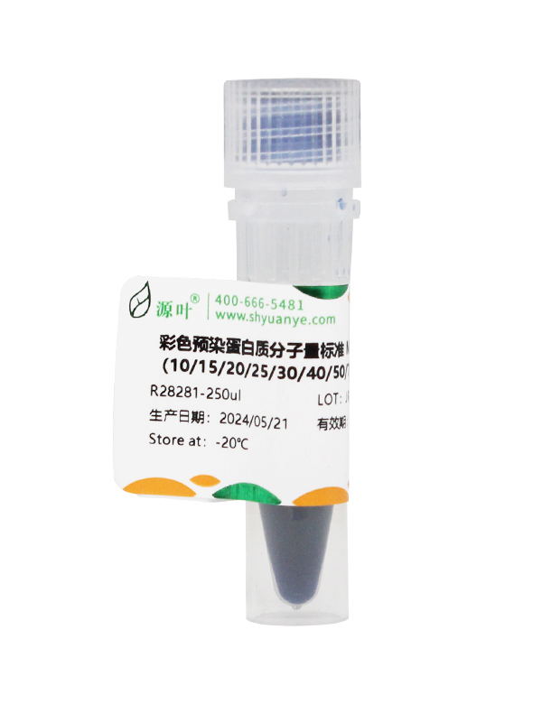 彩色预染蛋白质分子量标准 Marker（10-250kDa）