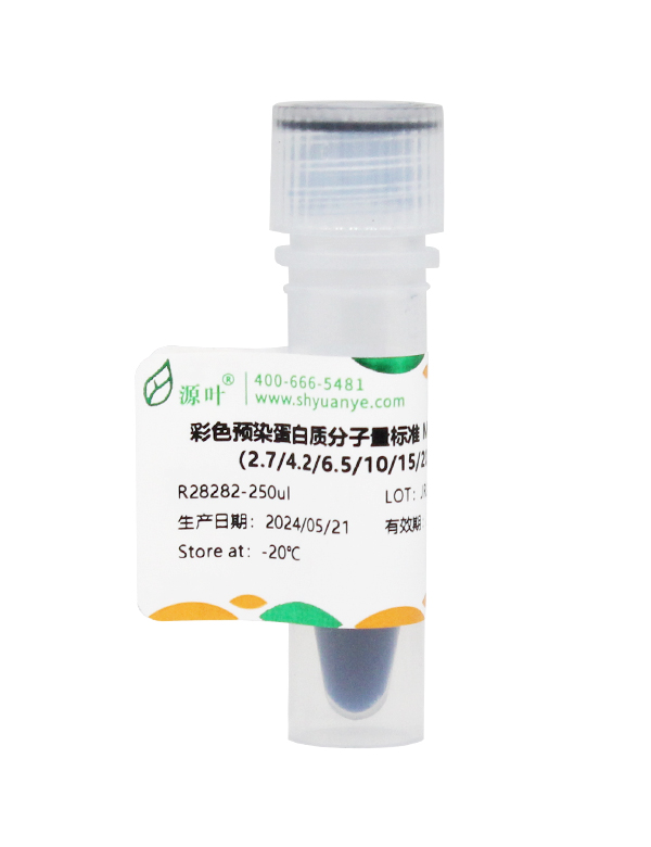 彩色预染蛋白质分子量标准 Marker（2.7-40kDa）