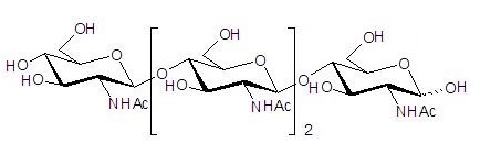 N-乙酰化的壳四糖