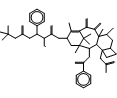 10-Oxo Docetaxel